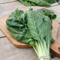 Swiss Chard Large White Ribbed Seed