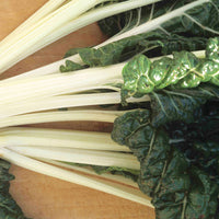 Swiss Chard Large White Ribbed Seed