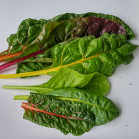 Swiss Chard Bright Lights Seed