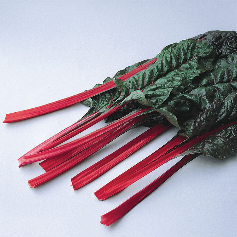 Swiss Chard Rhubarb Chard Seed