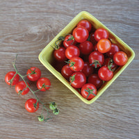 Tomato Supersweet 100 F1 Seed