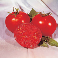 Tomato Moreton Hybrid F1 Seed