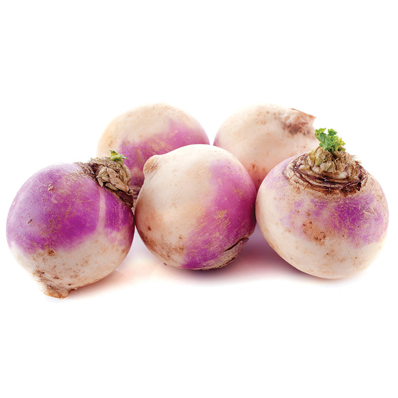 Rutabaga American Purple Top Seed