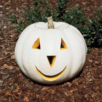 Pumpkin Patch Seed Collection