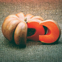 Pumpkin Fairytale Seeds