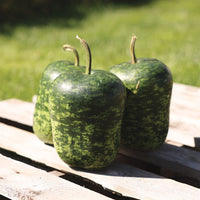 Gourd Big Boy Mix Seed