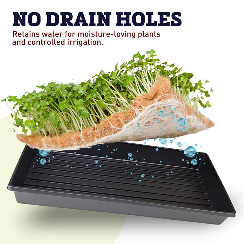 1020 No Drainage Black Plastic Carrier Trays