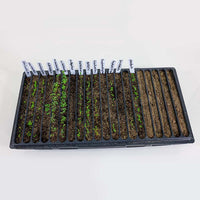 20 Row Germination Trays