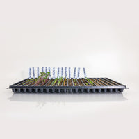 20 Row Germination Trays