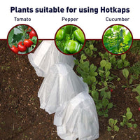 Hotkaps Regular (20)