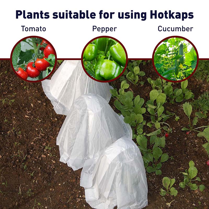 Hotkaps King Size (20)