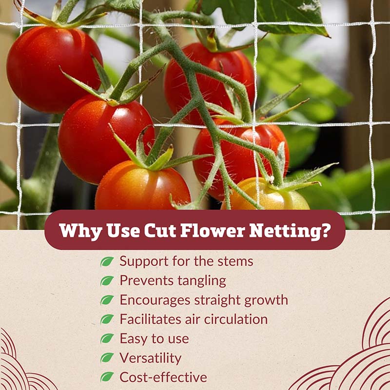 Trellis Netting 5' x 60'