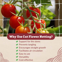 Trellis Netting 5' x 60'