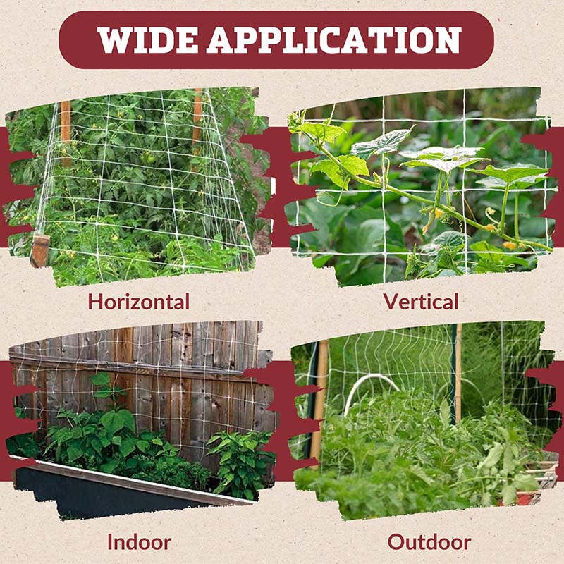 Trellis Netting 5' x 60'
