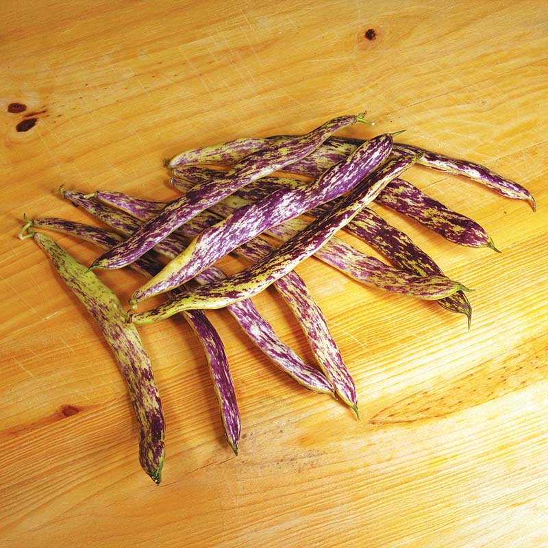 Bean Dragon Tongue Seed