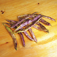 Bean Dragon Tongue Seed