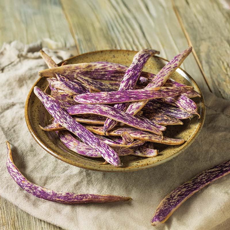 Bean Dragon Tongue Seed