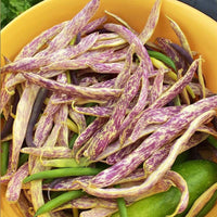 Bean Dragon Tongue Seed