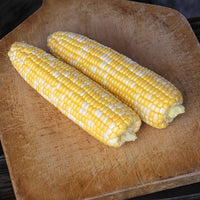 Sweet Corn Honey 'N Pearl F1 Seed