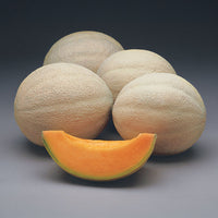 Melon Athena F1 Seed