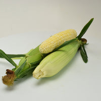 Sweet Corn Essence F1 Seed