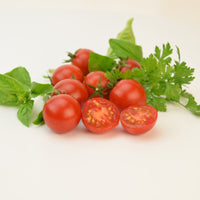Tomato Sakura F1 Organic Seed