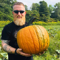 Pumpkin Cronus F1 Seed