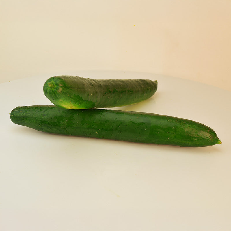 Cucumber Taurus F1 Seed