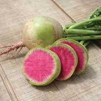 Radish Watermelon Seed
