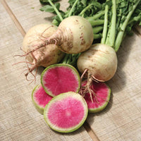 Radish Watermelon Seed