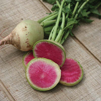 Radish Watermelon Seed