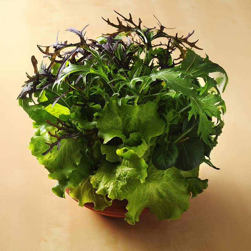 Simply Salad Global Gourmet Mix Seed