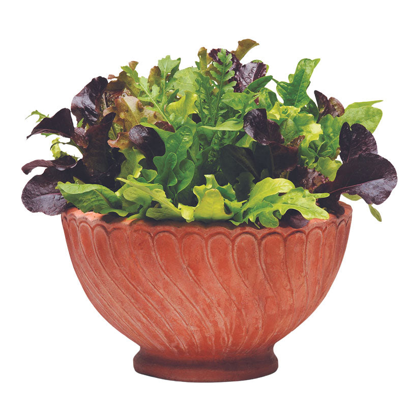 Simply Salad Alfresco Mix Seed