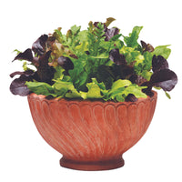 Simply Salad Alfresco Mix Seed