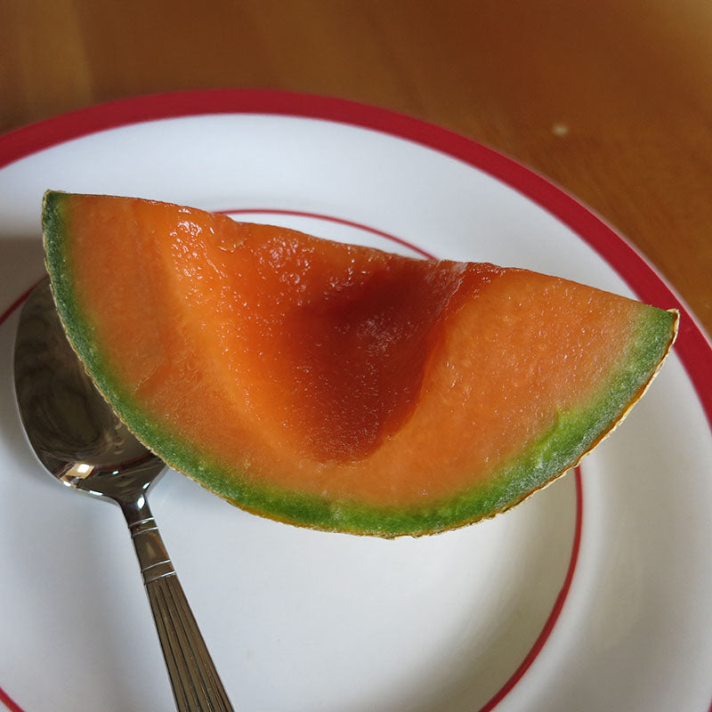 Melon Sugar Cube F1 Seed