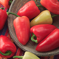 Pepper Mariachi F1 Seed