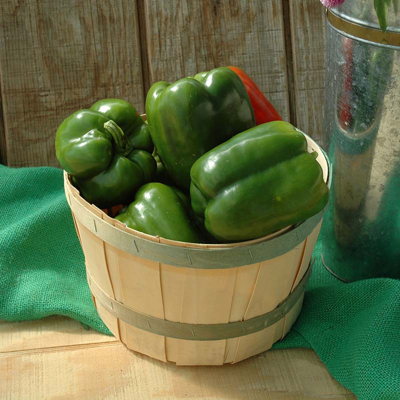 Pepper Karisma F1 Seed