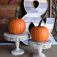 Pumpkin Field Trip F1 Seed