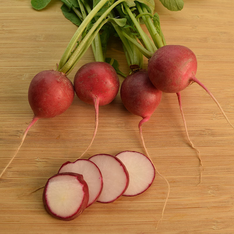 Radish Red Satin F1 Seed