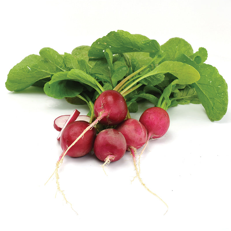 Radish Red Satin F1 Seed