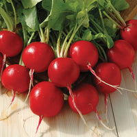 Radish Red Satin F1 Seed
