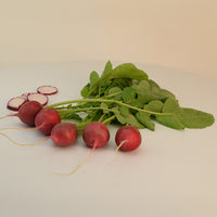 Radish Red Satin F1 Seed