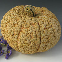 Squash Galeaux d'Eysines Seed