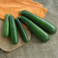 Squash Reward F1 Seed