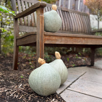 Squash Blue Magic F1 Seed