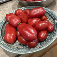 Tomato San Marzano Seed