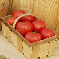 Tomato Red Bounty F1 Seed