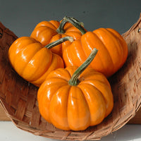 Pumpkin Orangita F1 Seed