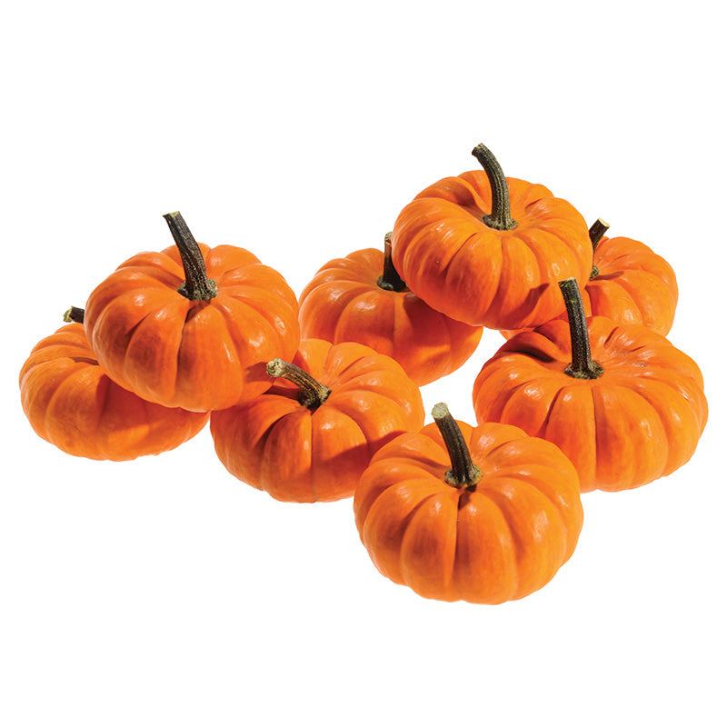 Pumpkin Jill-Be-Little Seed