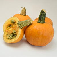 Pumpkin Naked Bear F1 Seed